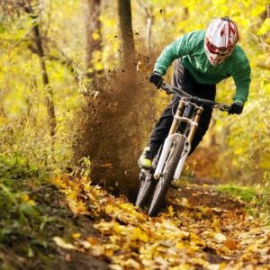 Max Complement Bearings