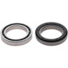 Campagnolo Ultra Torque Usb Ceramic Bearings With Seal (FC-RE112) 6805N