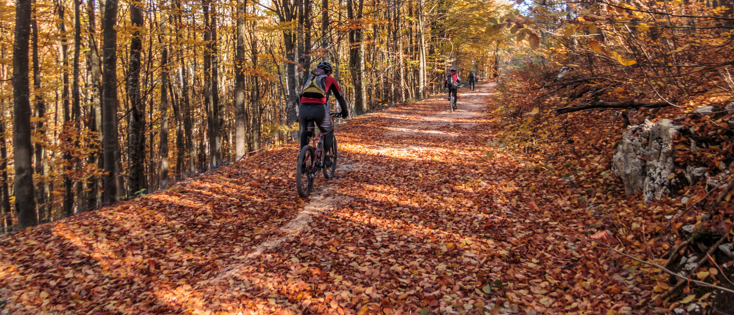 Autumn Bike
