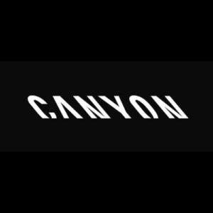 Canyon Headset Bearings & Spares