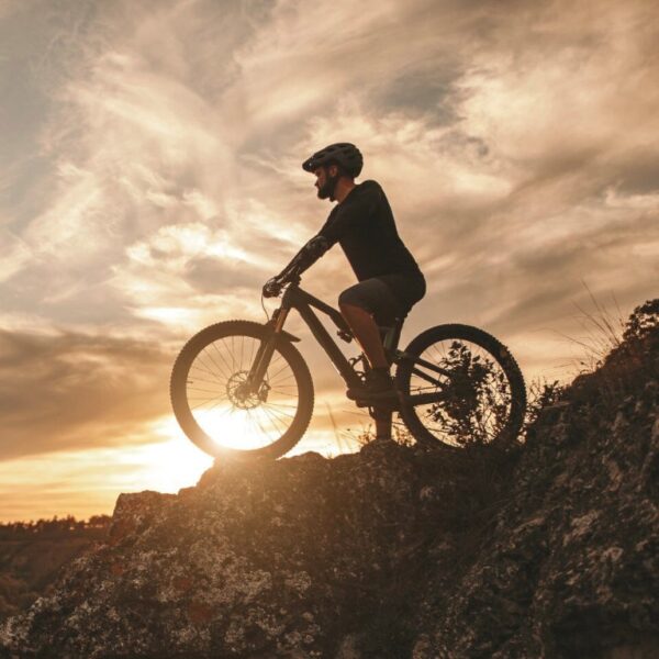 CANYON TORQUE ON 2021 FRAME BEARING KIT