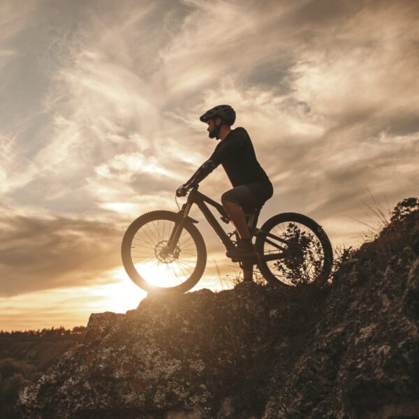 Bicycle Bearings Bearing Shop 1 Supplier Aire Velo Bearings