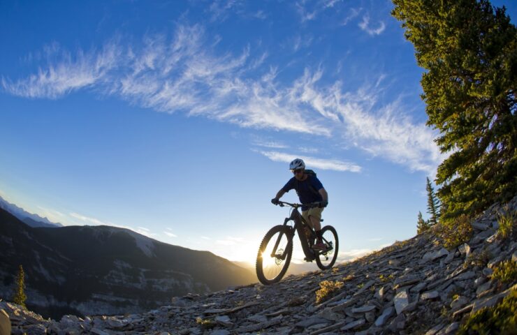 Specialized bike branding