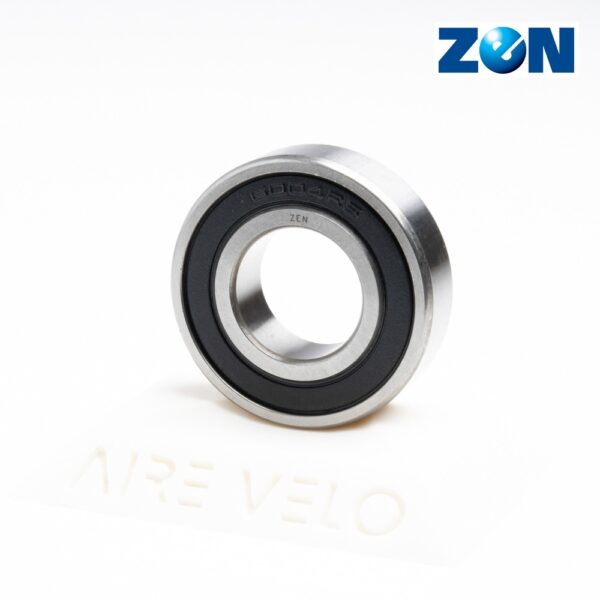6004-2RS 20 x 42 x 12
