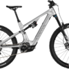 CANYON SPECTRAL ON 2018-2021 FRAME BEARING KIT