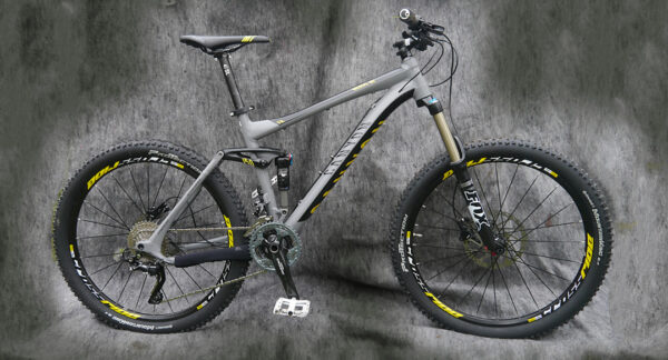 CANYON NERVE AL 29 2013 FRAME BEARING KIT