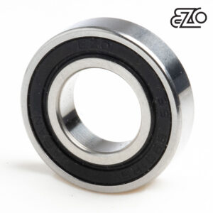 6901-2RS-SS EZO (61901) 12 x 24 x 6